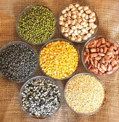 Pulses & Millets